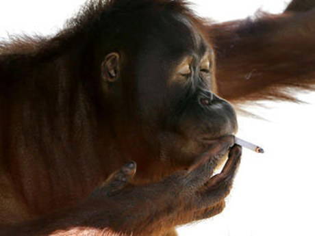 Tuz Gölü, kan gölüne döndü